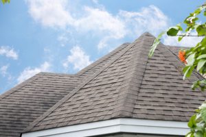 Answers to Common Questions About Roof Cleaning