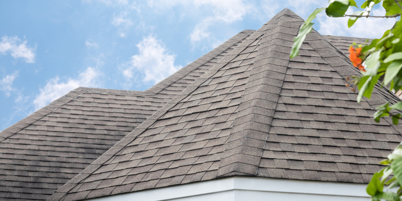 Answers to Common Questions About Roof Cleaning