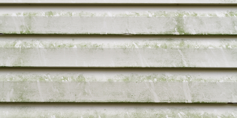 4 Common Stains Our Exterior House Cleaning Services Can Conquer